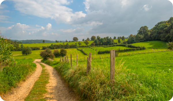 Een natuurwandeling maakt onderdeel uit van de campersessie